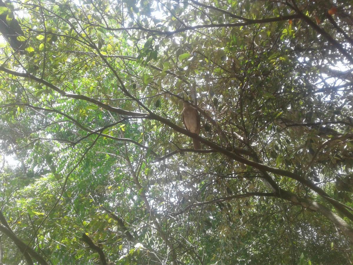 Laureana Campestre Agua de Dios