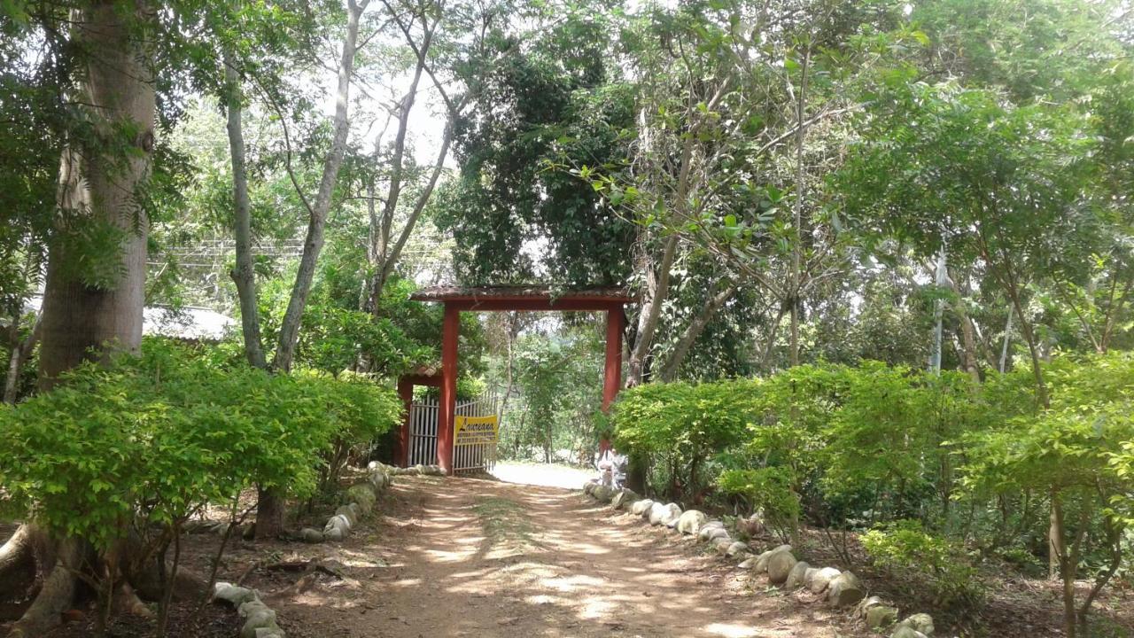 Laureana Campestre * Agua de Dios