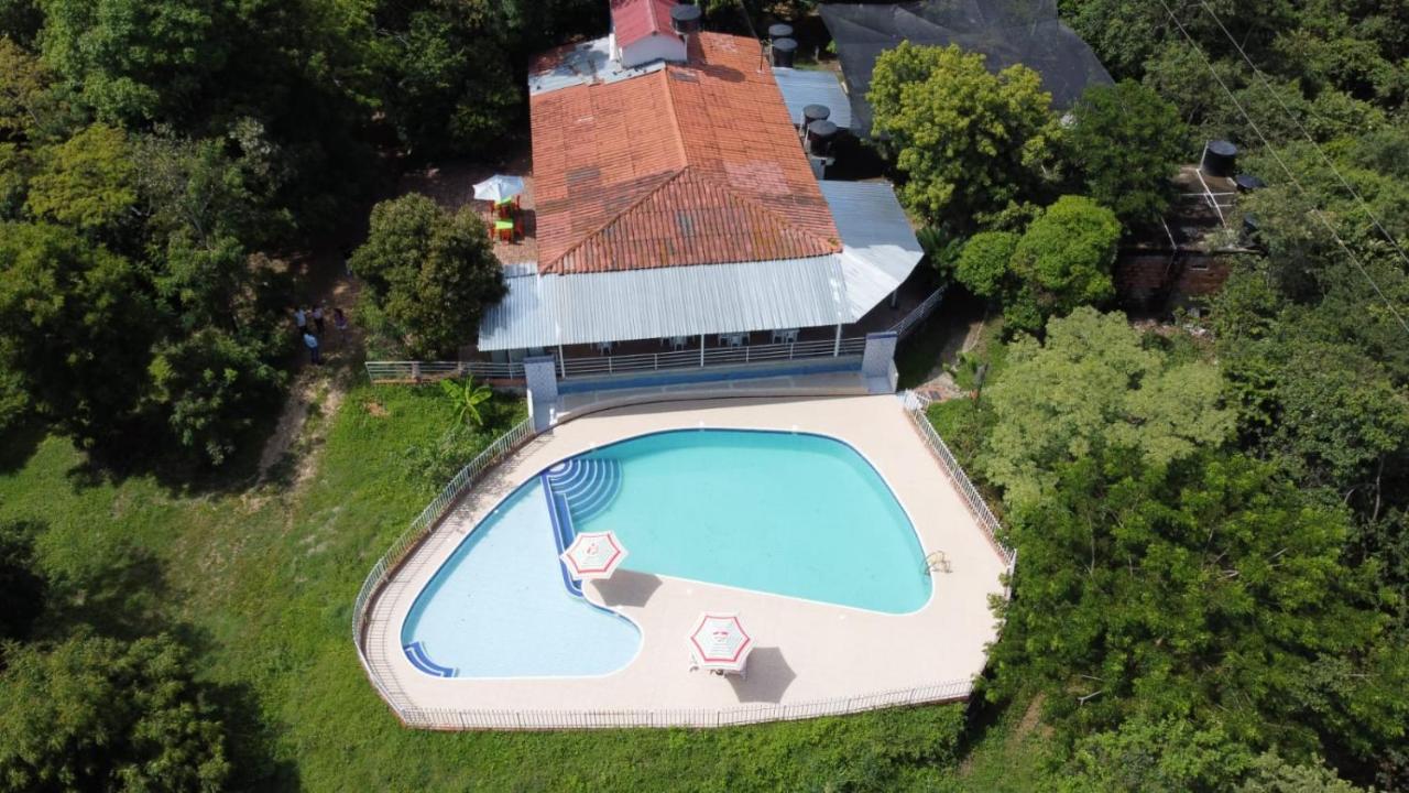 Laureana Campestre