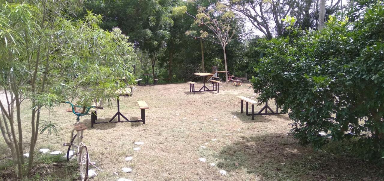 Laureana Campestre *