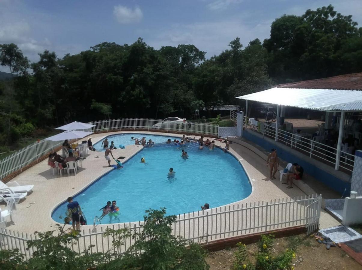 Laureana Campestre *