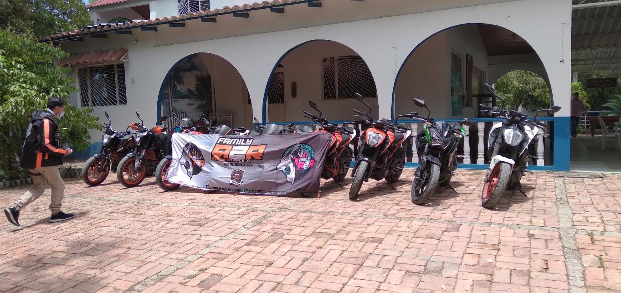 Laureana Campestre *
